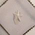Miniatuur van Anti slip - zeester